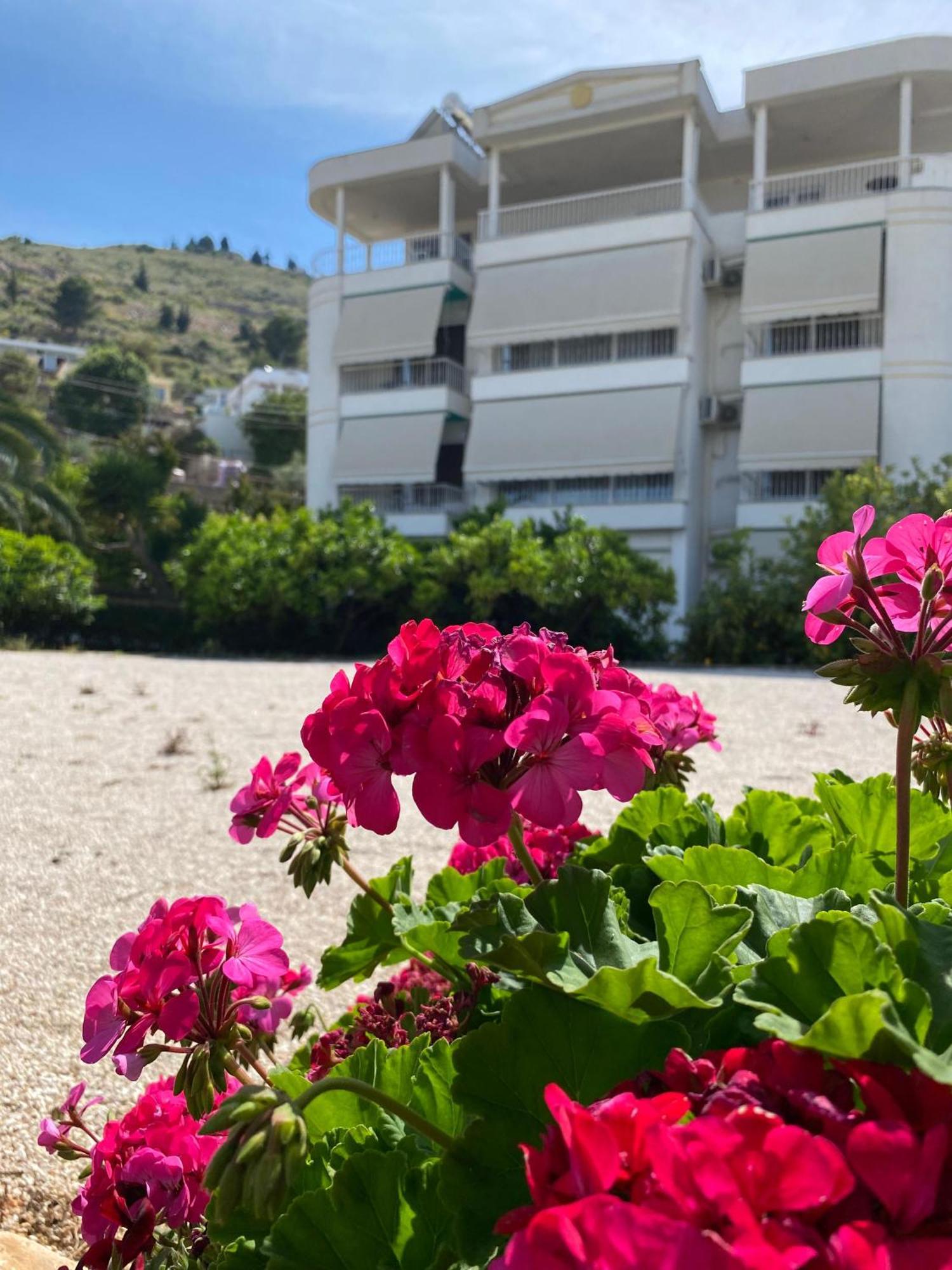 Vila Marjana Sarandë Eksteriør billede